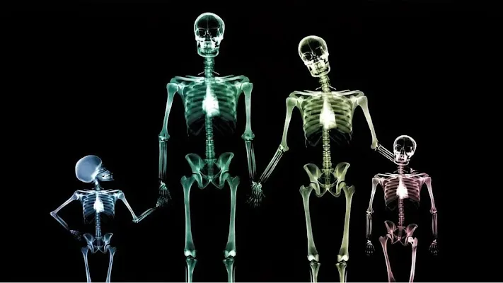 Clinique Radiologie Gatineau — Imagerie Médicale | Radiographie, Échographie & Mammographie à Gatineau