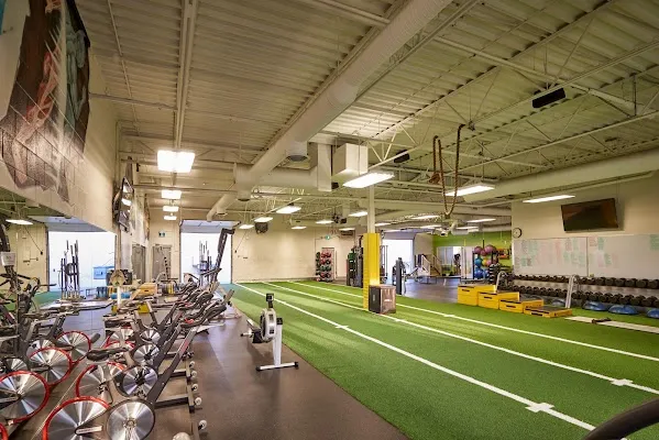 Pure Lifestyle - Empress